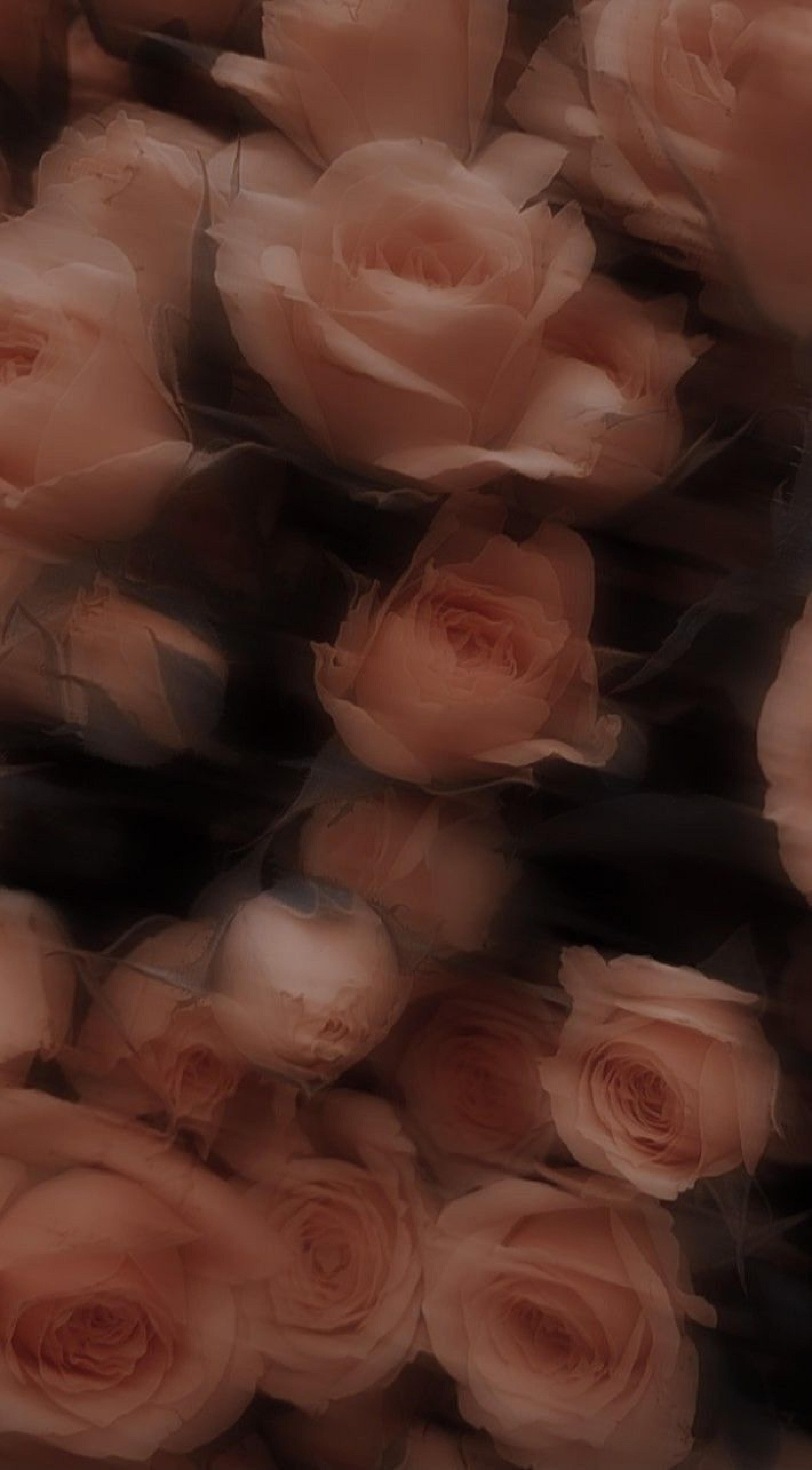 Mitika Kaushik cover photo